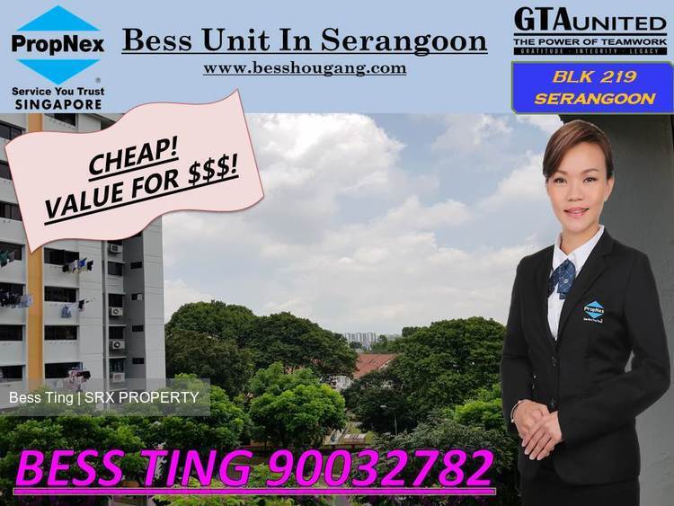 Blk 219 Serangoon Avenue 4 (Serangoon), HDB 4 Rooms #169917232